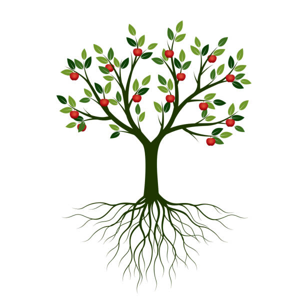 istock Green summer Tree with Roots. Vector Illustration. Plant in garden. 1140659180
