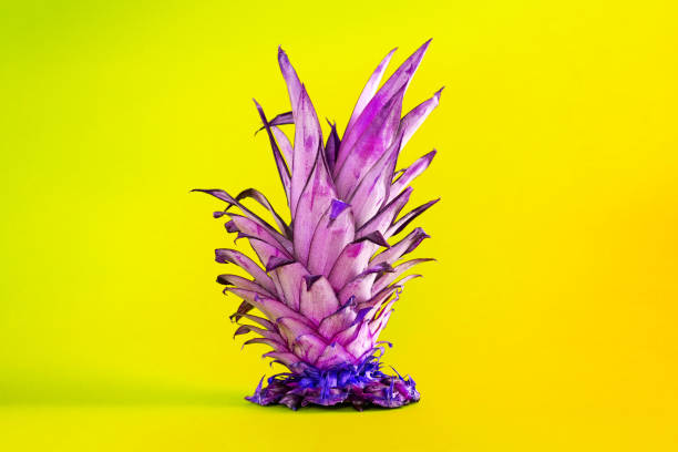 istock cut off pineapple leaves on cyan background with changed color. selective color. Summer concept.Concept art. Minimal surrealism background 1140662997