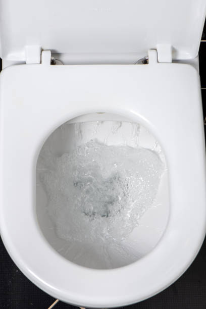istock Toilet Bowl 1140663438