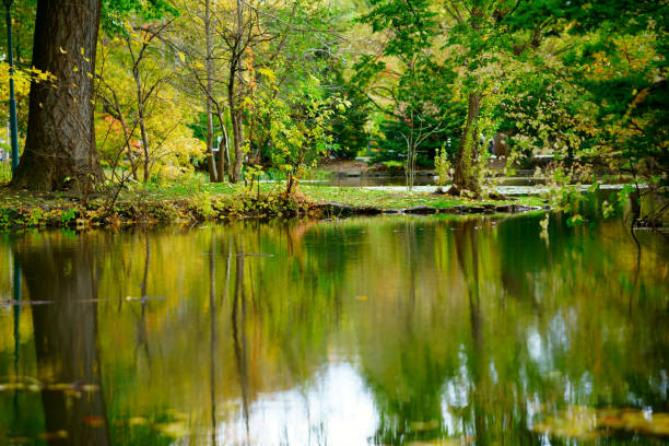 istock Fall scenery of Hokkaido, Sapporo, Nakajima Park 1140666123