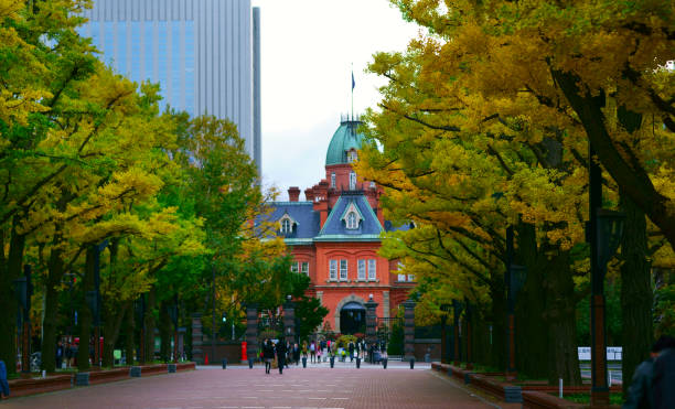 istock Fall scenery of Hokkaido, Sapporo, Nakajima Park 1140666189