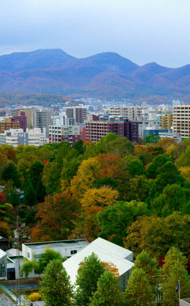 istock Fall scenery of Hokkaido, Sapporo, Nakajima Park 1140667019