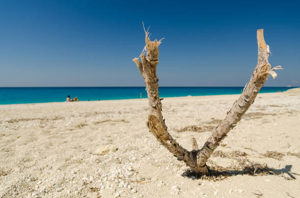 istock Wooden stick on a beach 1140668631
