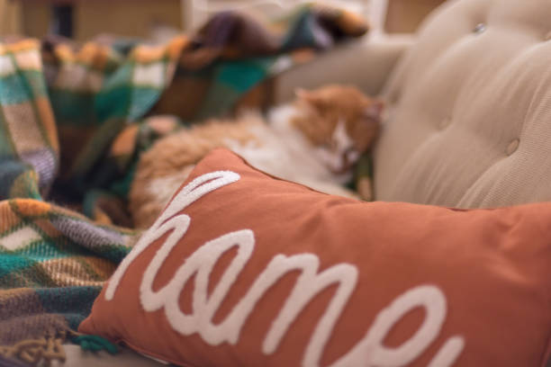 Pillow with the word home and orange kitty curled up in the blurred background - there's no place like home