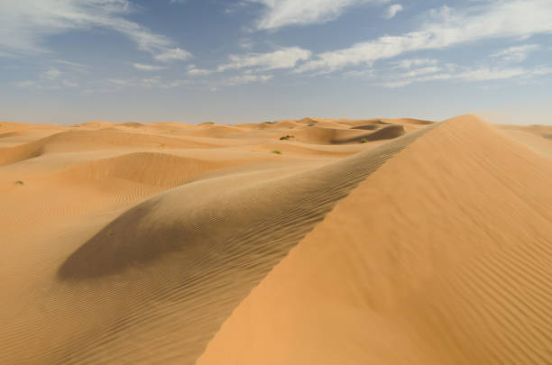 istock Wahiba Sands - desert with dunes in Oman 1140677233