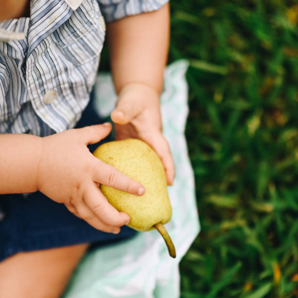 istock Toddler holds a pear close up 1140679134