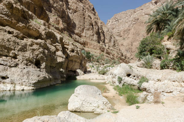 istock Hiking in Wadi Shab 1140681039