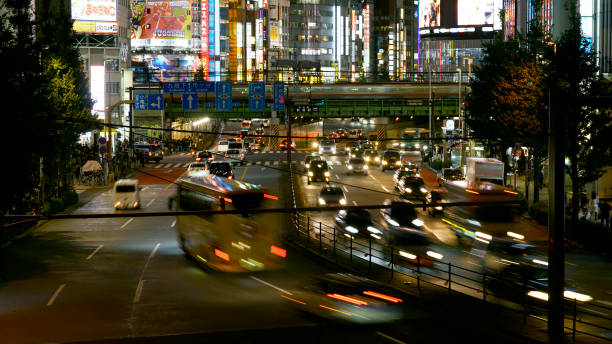 Tokyo Shinjuku Night Life