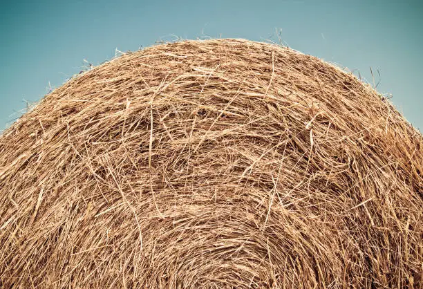 Bale of hay under blue sky, close-up view.