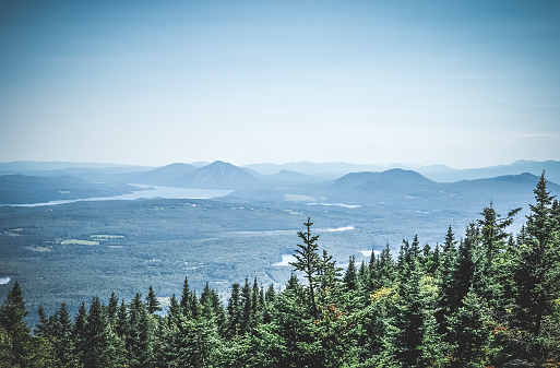 Bosque boreal y montañas brumosas photo