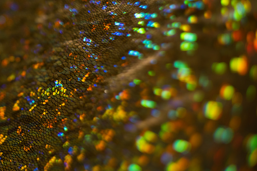 Sparkling dark golden snake skin. Multicolor bokeh abstract background. Defocused glitter glow.