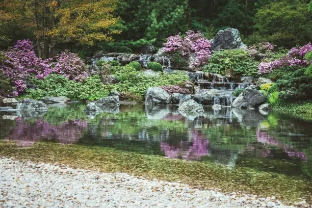Pond with water cascades in a blooming Japanese garden.