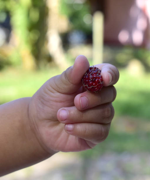 istock 1 year old boy caught fruit 1140695505