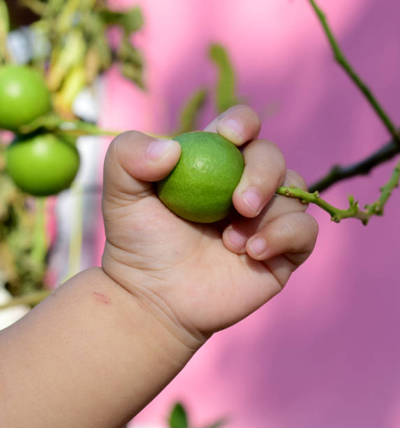 istock 1 year old boy caught fruit 1140695515