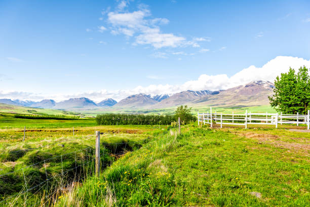 widok na góry w pobliżu akureyri z błękitnym niebem i ogrodzeniem gospodarstwa pastwiska z zieloną trawą podczas słonecznego letniego dnia - nordic countries europe island fjord zdjęcia i obrazy z banku zdjęć