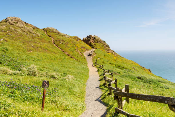 Hiking trail by the sea side at Point Reyes National Seashore Hiking trail by the sea side at Point Reyes National Seashore pacific coast stock pictures, royalty-free photos & images