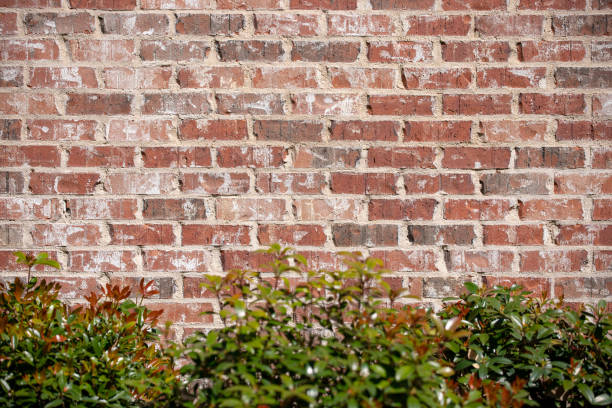 istock Brick wall background with green bushes in the front 1140696585