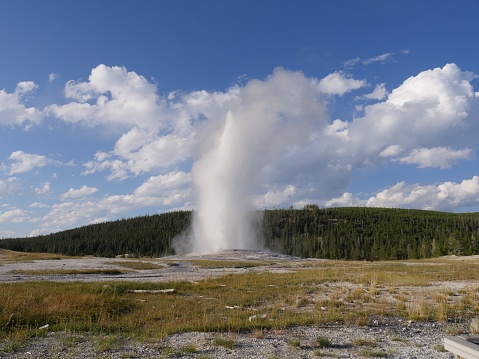 Steam rises from the hot springs and geysers at the Yellowstone National Park in Wyoming.