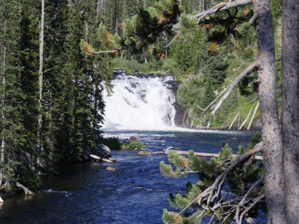 istock Lewis River, Wyoming 1140698868