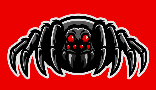 vector of spider mascot set