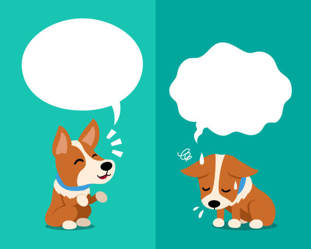 Vector Cartoon Corgi Dog Expressing Different Emotions With Speech Bubbles  Stock Illustration - Download Image Now - iStock