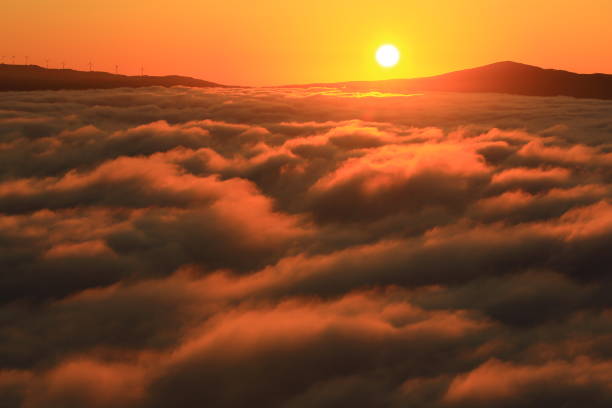 Morning sea of ​​clouds