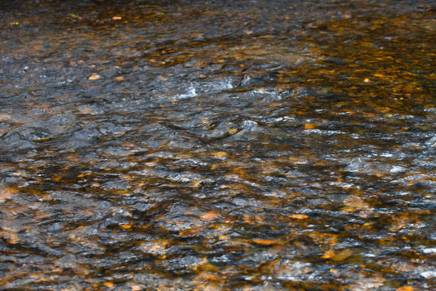 отражение поверхности воды с натуральными коричневыми камнями на дне много background.soft фокус. - pebble bed стоковые фото и изображения