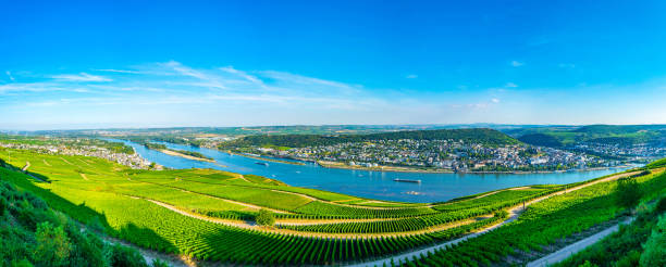 luchtfoto van rüdesheim am rhein in duitsland - rheingau stockfoto's en -beelden