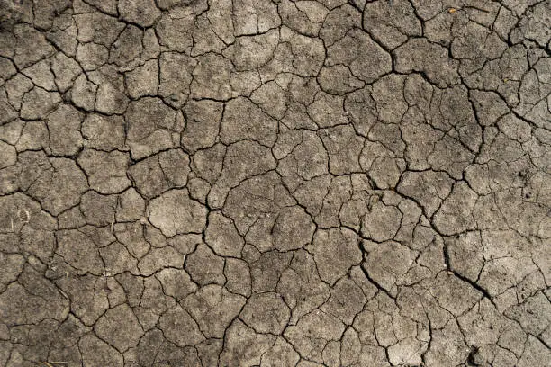 Photo of crack of dry ground land texture background - can use to display or montage on product