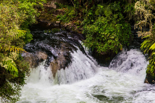istock The fast flowing Kaituna 1140715771