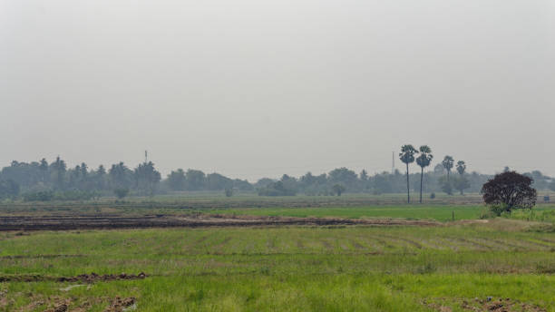 istock Landscape​ farmland​ in​ summer​ 1140716320