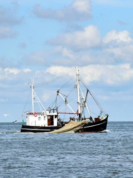 pesca no mar do norte perto de büsum em frisia norte (alemanha) - kutter - fotografias e filmes do acervo