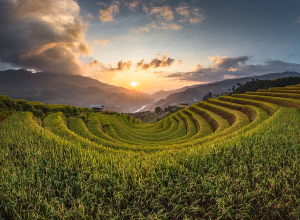 istock Rice terrace Mountains in Mu can chai, Vietnam 1140726449