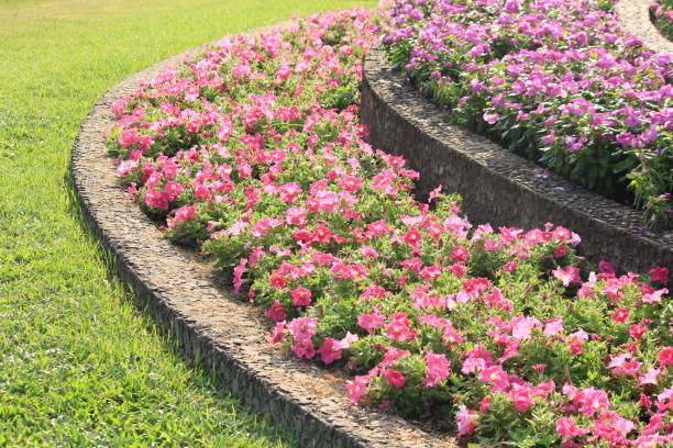 istock Beautiful flower garden 1140728709