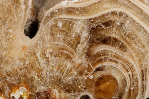 istock Macro stone Flint mineral on a black background 1140730321