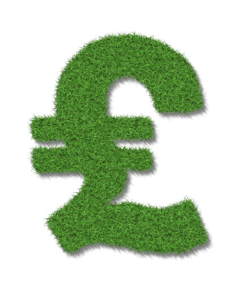 znak funta w bujnej zielonej trawie na białym tle - pound symbol environment grass currency zdjęcia i obrazy z banku zdjęć