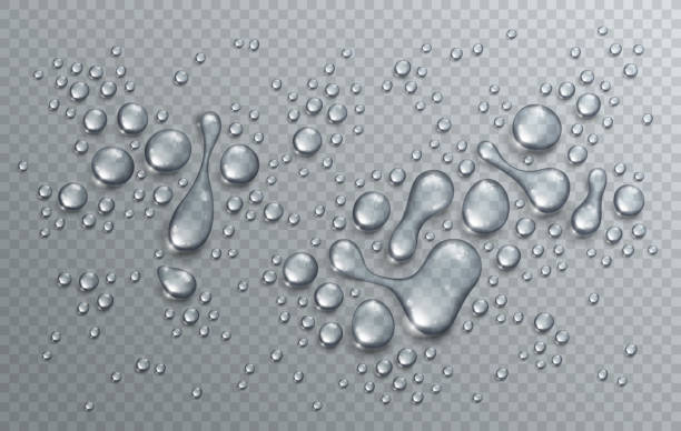 krople deszczu wody lub kondensacji pod prysznicem realistyczny przezroczysty skład wektora 3d nad siatką sprawdzania przezroczystości, łatwy do umieszczenia na dowolnym tle lub użycia kropelek oddzielnie. - natural basin stock illustrations