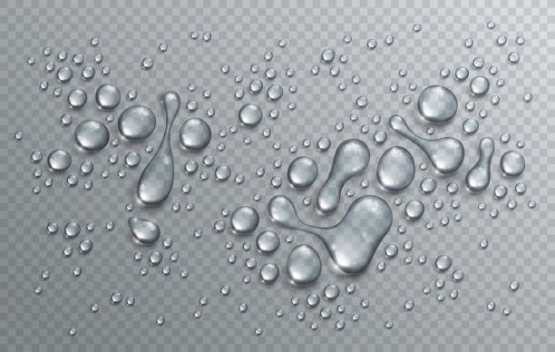 ilustrações de stock, clip art, desenhos animados e ícones de water rain drops or condensation in shower realistic transparent 3d vector composition over transparency checker grid, easy to put over any background or use droplets separately. - wet dew drop steam