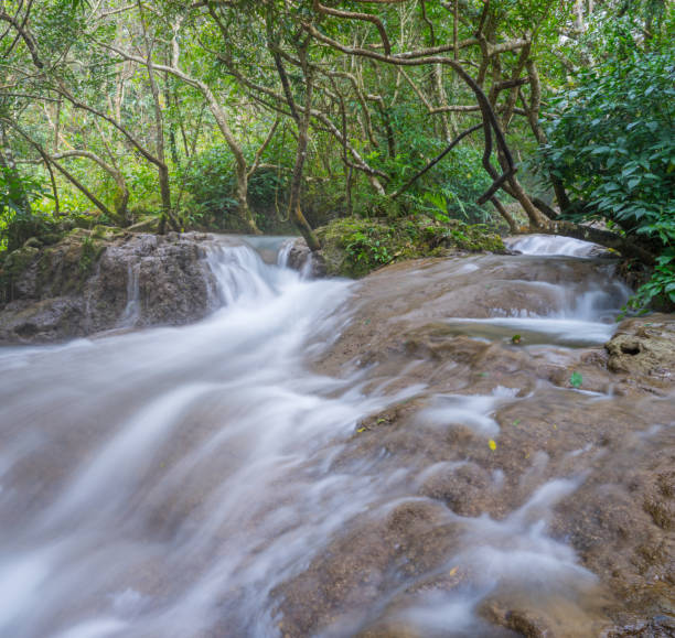 istock Water stream,Mountain river with stones 1140743092