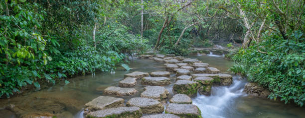 istock Water stream,Mountain river with stones 1140743306