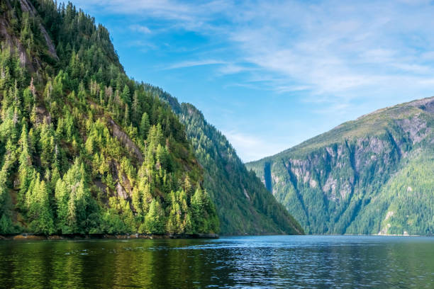 crociera nel misty fjords national monument, ketchikan, alaska, usa - american cuising foto e immagini stock