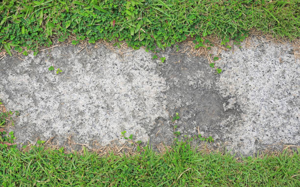 istock Stone texture background covered with green grass around. Concrete pattern with copy space at center. 1140750768