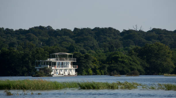 istock Riverboat Voyager on the Chobe river 1140754777