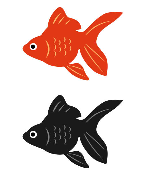 ilustraciones, imágenes clip art, dibujos animados e iconos de stock de el icono de goldfish - goldfish