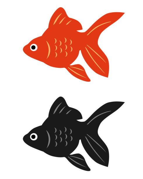 illustrations, cliparts, dessins animés et icônes de ensemble d’icône de goldfish - poisson rouge