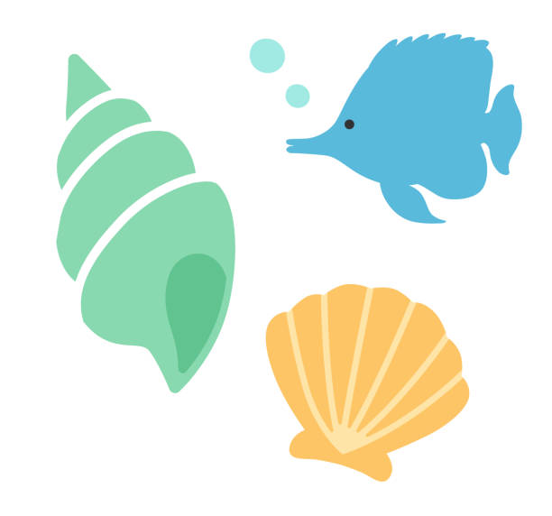 illustrations, cliparts, dessins animés et icônes de icône de coquillage et de poisson tropical - coquille et coquillage