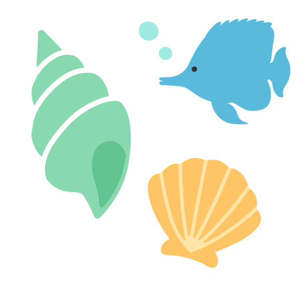 ilustrações de stock, clip art, desenhos animados e ícones de seashell and tropical fish icon - concha