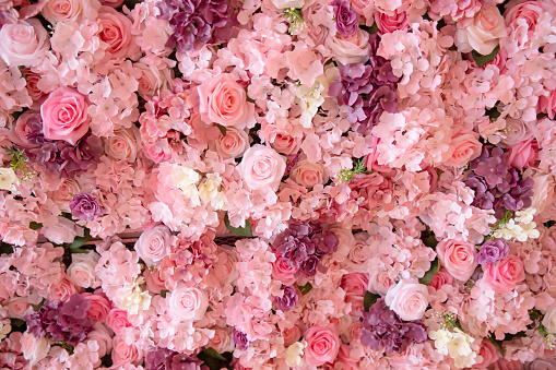 close up of colorful roses backdrop wall.