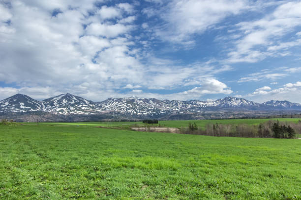 istock Magnificent scenery of Biei 1140760260