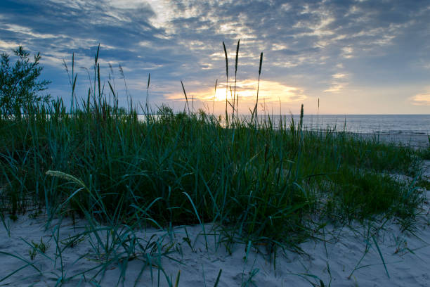 istock A view of sandy beach in Jurmala at sunset  , Latvia 1140760470
